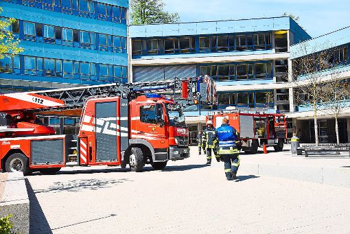 Im Gymnasium Schramberg hat am Dienstag ein Feuermelder in der Mensa Alarm ausgelöst. Foto: Wegner