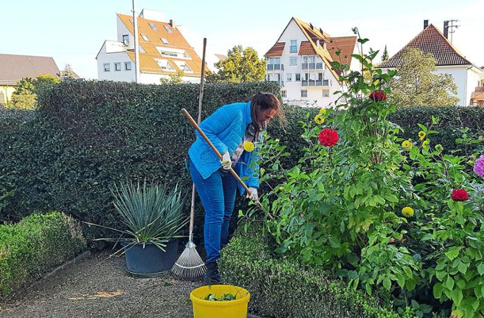 Gartenarbeiten Geislingen: Eine Rundum-Erneuerung für den Schlossgarten