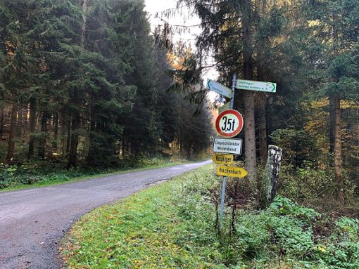 Rechts, links, geradeaus? Was den Holzeinschlag in ihren Wäldern anbelangt, will die Gemeinde Obernheim spontan reagieren, wie in der jüngsten Sitzung des Gemeinderates deutlich wurde.  Foto: Weiger Foto: Schwarzwälder Bote