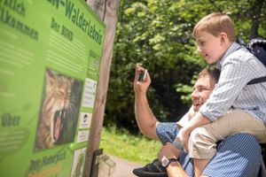 Der Wildkatzen-Walderlebnispfad ist ein Erlebnis für Alt und Jung.  Foto: Tourismusbüro Foto: Schwarzwälder-Bote