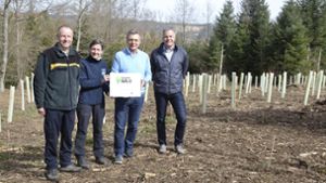 In Sulz sollen 1425 junge Bäume dem Klimawandel trotzen