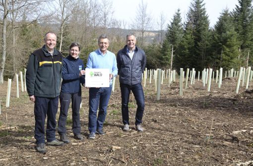 Karlheinz Mertes (von links), Nicole Fürmann, Peter Jahn und Hartmut Walter wollen den Wert des Waldes in die Gesellschaft bringen. Foto: Störzer