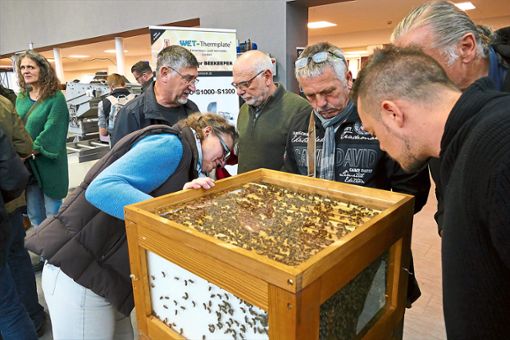 Zog vor allem Fachpublikum an: Vor und in den Donauhallen drehte sich bei den Berufs- und Erwerbsimkertagen alles um Bienen und die Imkerei.  Foto: Bombardi