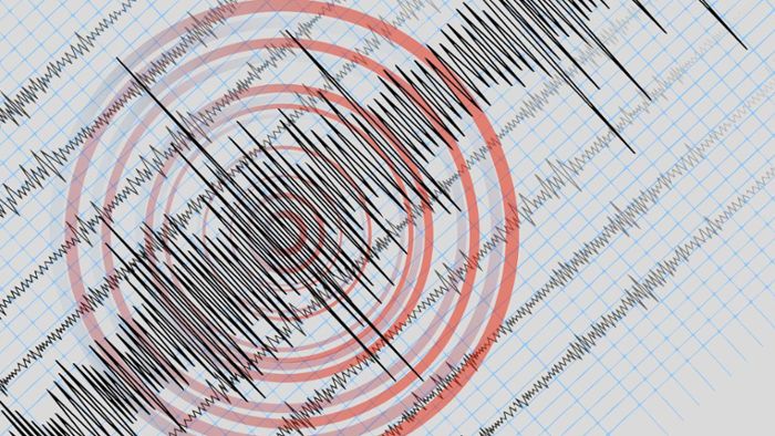 Erdbeben mit Stärke von 4,6 in der ganzen Region spürbar