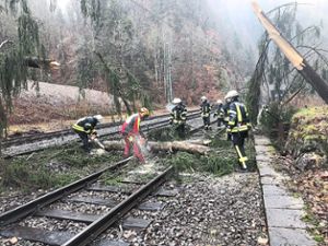 Kein Zugverkehr: Die Strecke der Gäubahn zwischen Freudenstadt Hauptbahnhof und Eutingen im Gäu Bahnhof ist weiterhin blockiert. (Symbolfoto) Foto: Feuerwehr