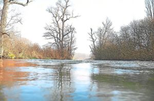 Hochwasserschutz in Wittenweier: Altrhein-Schwelle wird erneuert