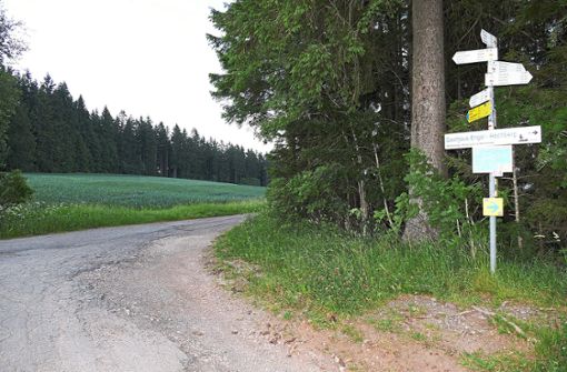 Der Gemeindeverbindungsweg von der Kalten Herberge bis zur Grenze Waldau wird zur Instandsetzung ausgeschrieben. Foto: Ketterer