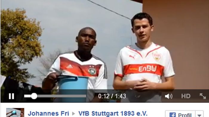 VfB-Fan: 