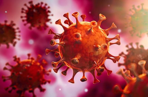 Das Corona-Virus ist im Bregtal immer mehr auf dem Vormarsch. Foto: peterschreiber.media – stock.adobe.com