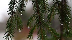 Grüne Weihnachten – und Warnungen vor starkem Regen