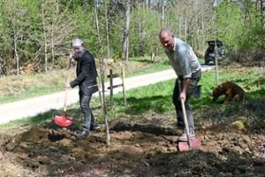 Bürgermeister Clemens Götz (links) und Revierförster Jürgen Martinek  erweiterten die Baumallee im Unteren Wald um ein  Gingko biloba-Exemplar.Foto: Tröger Foto: Schwarzwälder Bote