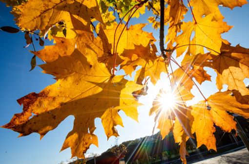 Im Südwesten lag die Durchschnittstemperatur im Herbst bei 11,2 Grad. (Symbolfoto) Foto: dpa/Christoph Schmidt