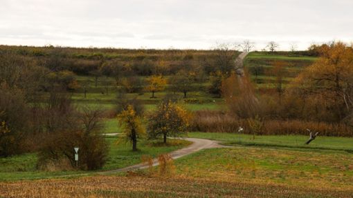 Auch das Naturschutzgebiet „Saure Matten“ in Wallburg soll von den Maßnahmen der Stadt profitieren. Foto: Decoux