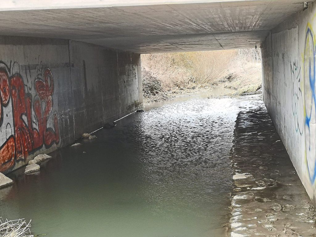 Die B31-Unterführung bei Hüfingen: Auch hier staut sich das Wasser.