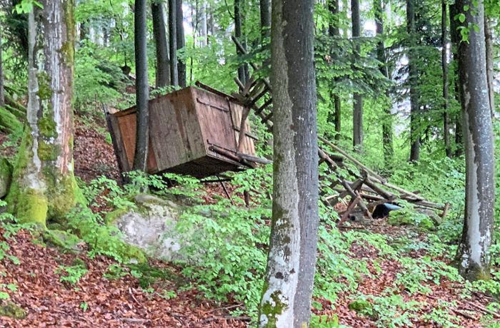 Vandalismus in Ettenheinm: Drei Hochsitze im Stadtwald zerstört