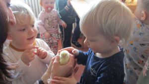 „Nachwuchs“ im Kindergarten Hohlgasse – Küken-Projekt begeistert