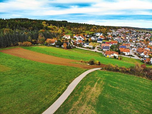 Für die Erweiterung Schellenbühl-Süd muss der angrenzende Wald weichen. Foto: Fritsch Foto: Schwarzwälder Bote