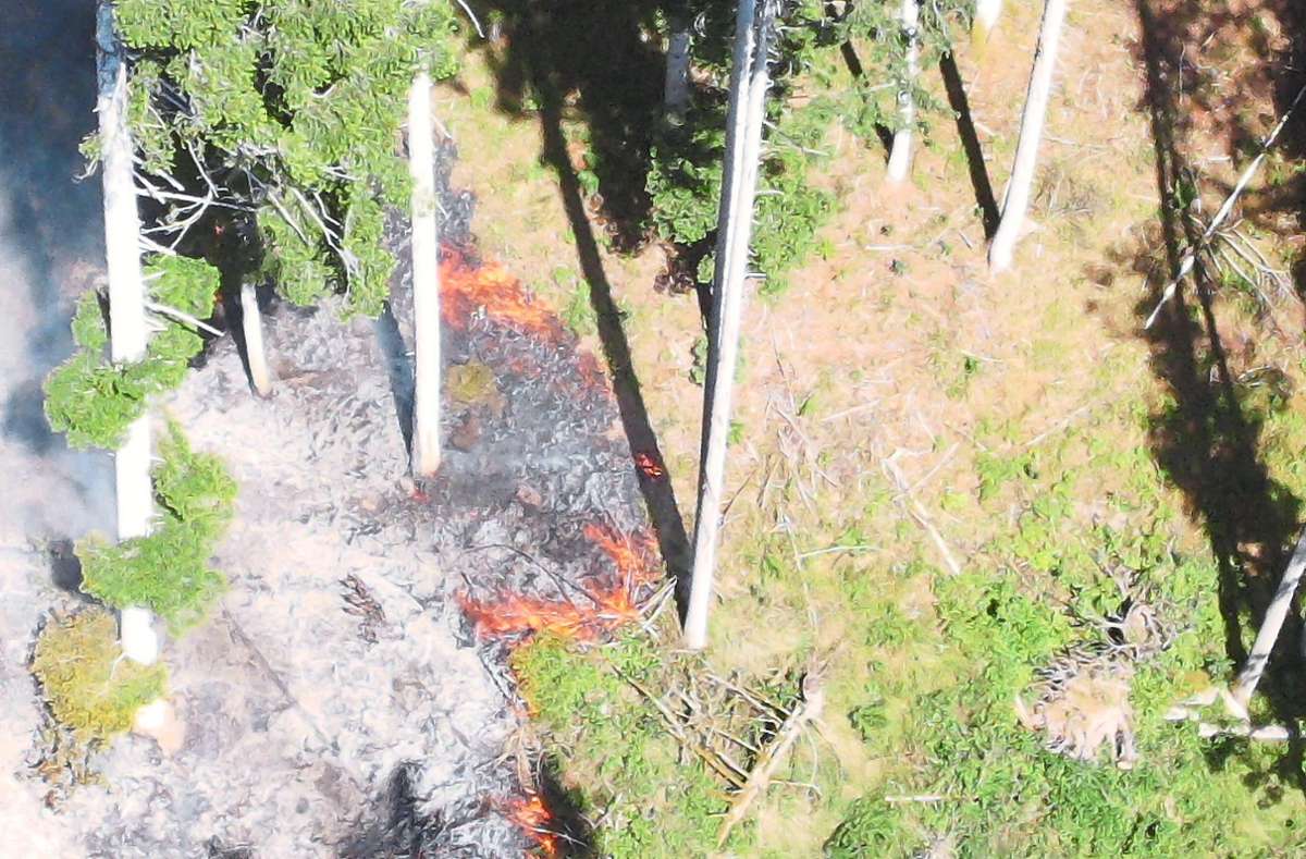 Mit einer Drohne der Feuerwehr Neuweiler wurde das Ausmaß des Brandes kontrolliert. Ein weiterer Drohnenflug durch die Experten von Netze BW konnte die Brandursache nun endgültig geklärt werden.