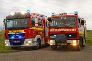 Ablösung: Das neue  MLF ersetzt das bisherige  LF8 der Einsatzabteilung Neukirch.Foto: Feuerwehr Foto: Schwarzwälder Bote