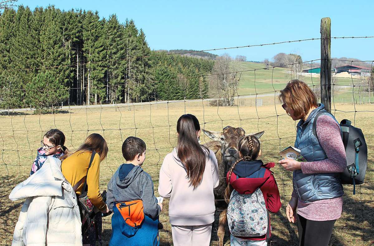 Eine Gruppe ukrainischer Flüchtlingskinder hat das Wildgehege erkundet.