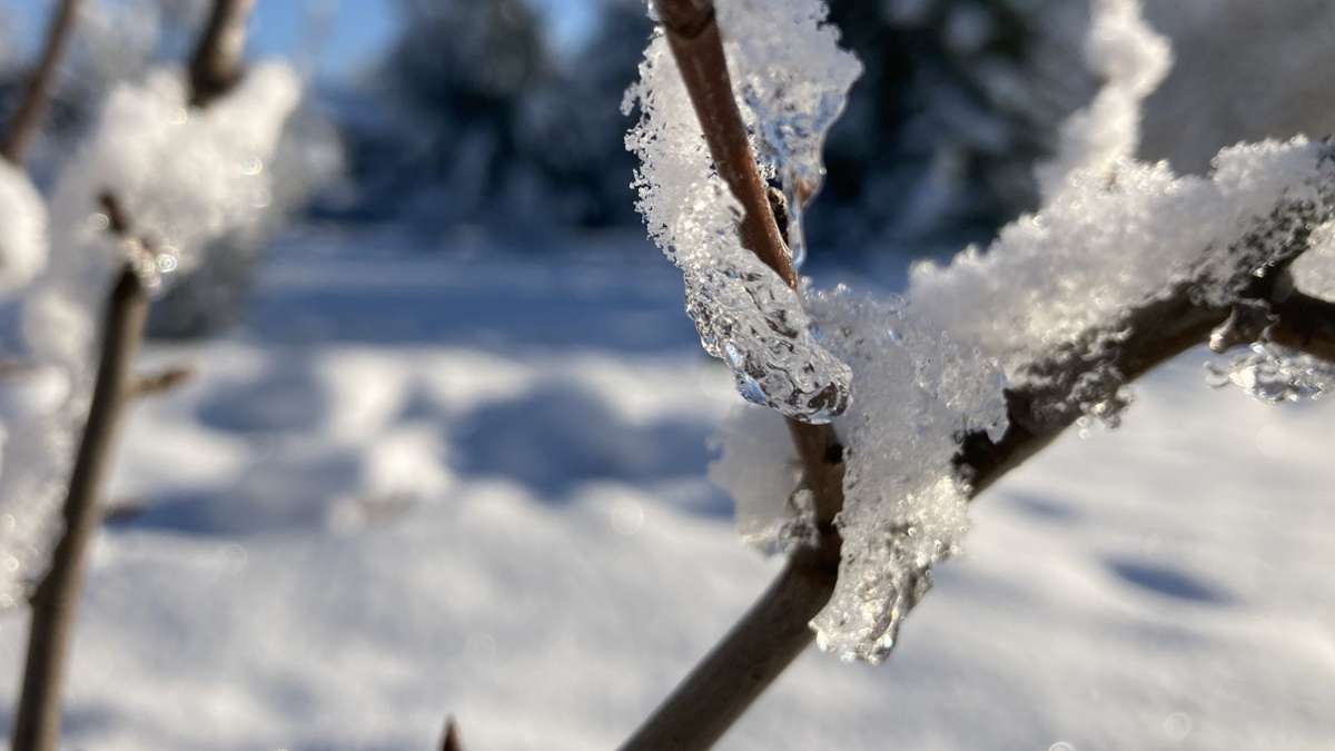 Winter-Wetter im Zollernalbkreis: Bis zu minus 19 Grad – so eisig wird der Montagmorgen