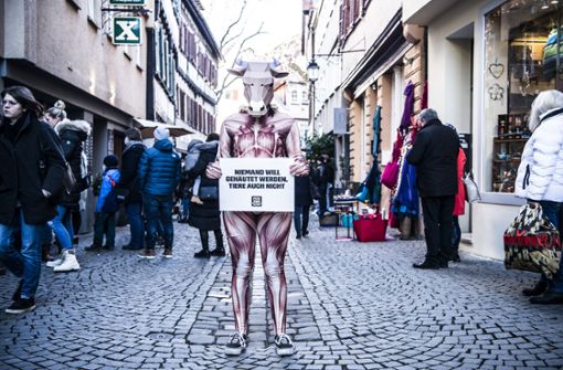 „Ich will den Leuten zeigen, dass hinter jedem Lederprodukt Tierleid steckt“: Marlene Teufel spielt eine gehäutete Kuh. Foto: Andreas Reiner/Sichtlichmensch