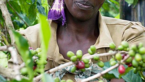 Stadt bekommt Fairtrade-Siegel