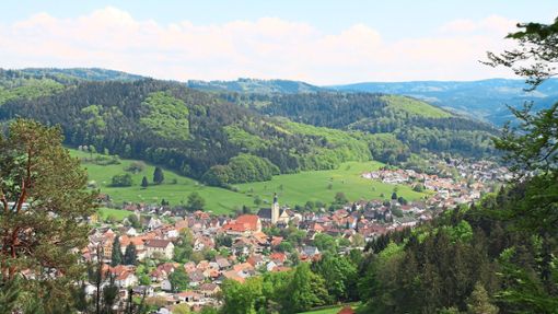 Die Gemeinde Seelbach wird wegen ihrer schönen Lage in der Natur geschätzt. Entsprechend ist der Umweltschutz für die Kandidaten ein wichtiges Thema. Foto: Gemeinde