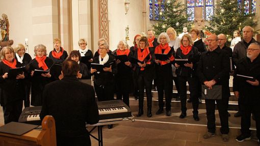 Drei Chöre des Liederkranzes Salzstetten erfreuten mit ihrem Weihnachtssingen in der Kirche. Foto: Manfred Singer