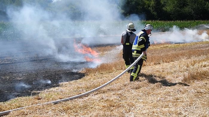 Feuerwehr löscht Flächenbrände in Lahr