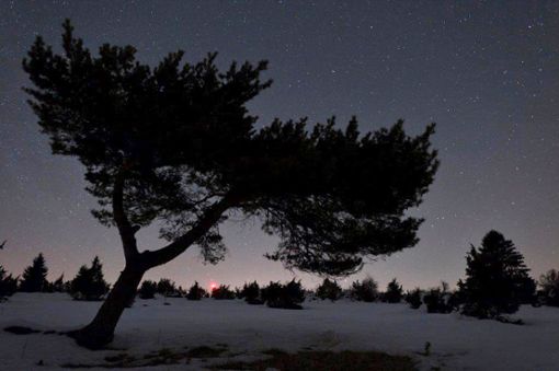 Der Plettenberg bei Nacht: Dort sind die Sterne noch sehr klar  zu sehen. Foto: Schwarzwälder Bote