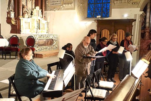 Die Künstler der Musikschule Prima-Primus haben am Samstag in St. Luzen ein Konzert gegeben.  Foto: Stopper Foto: Schwarzwälder Bote