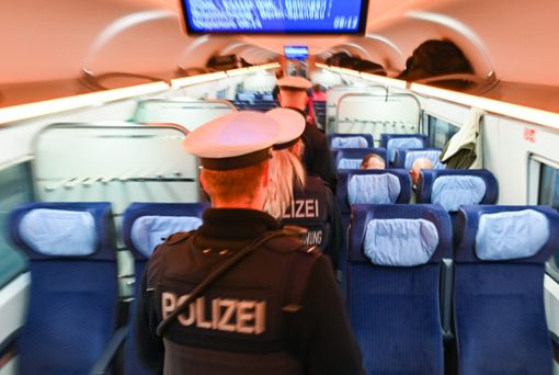 Die Bundespolizei ist für die Sicherheit in deutschen Zügen verantwortlich. (Symbolfoto) Foto: dpa