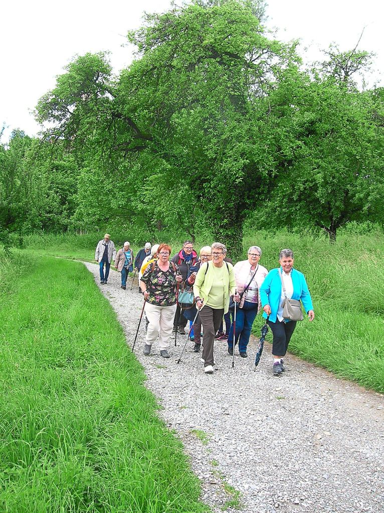 Die Mittwochwanderer aus Sulz genießen die Wanderung am Bodensee. Foto: Ruopp