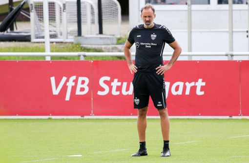 VfB-Trainer Pellegrino Matarazzo plagen große Verletzungssorgen. Foto: Baumann/Alexander Keppler