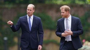 Prinz Harry wirft  William vor, ihn geschlagen zu haben