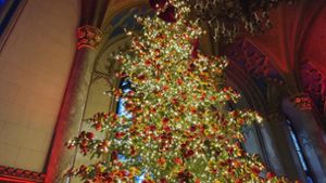 Die drei Gurken am Weihnachtsbaum im Grafensaal