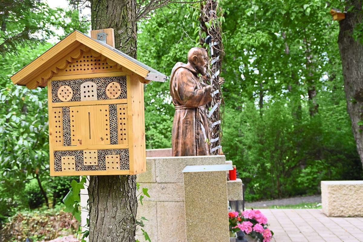 In freier Natur: das Pater-Pio-Denkmal und daneben ein Bienenhotel.