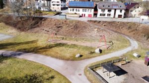 Großprojekt in Schramberg: Erst der Gemeinderat soll über Tennenbronner Halle entscheiden