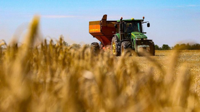 Landwirt warnt vor Rückgang der Getreideproduktion