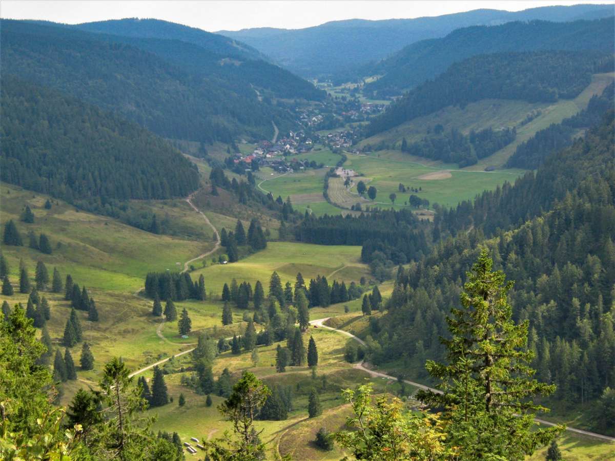 Der Schwarzwald als Heimat - darum geht es im Projekt. Foto: Jansen
