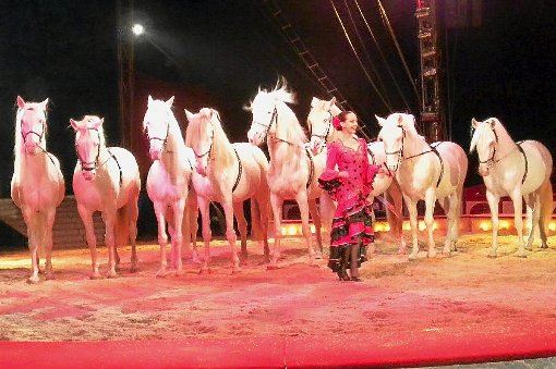 Alles, was bei den Shows vom Circus Krone in Donaueschingen geboten wurde, hatte absolut internationales Niveau. Foto: Bombardi Foto: Schwarzwälder-Bote