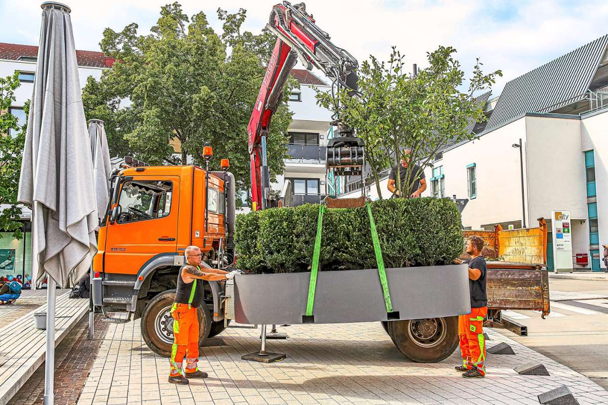 Mitarbeiter des Balinger Bauhofs stellen den Pflanzkübel – als Vorbote für die Gartenschau 2023 – auf den Hinteren Kirchplatz.