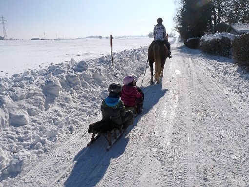 Mit einer Pferdestärke geht es durch die Winterlandschaft. Foto: Schwarzwälder-Bote