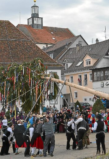 Mit dem Aufstellen des Narrenbaums auf dem Schlossplatz fiel gestern der Startschuss für die Hechinger Fasnet. Foto: Wais Foto: Schwarzwälder-Bote