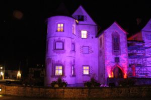 Das Wasserschloss Glatt macht bei der Illuminationsaktion mit. Rund 60 Besucher bewundern das Farbenspektakel. Foto: Steinmetz