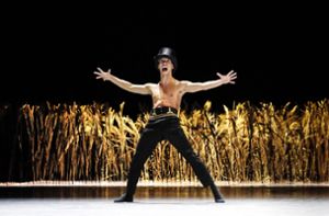 Die Kompanie vom Gärtnerplatztheater bringt aus München Marco Goeckes Fellini-Ballett „La strada“ nach Ludwigsburg (im Bild: David Valencia). Foto: Gärnterplatz/M/arie-Laure Briane
