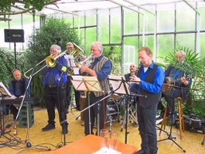 Seit 2016 veranstaltet der Verein zur Förderung Rosenfelds Jazzkonzerte im Rosen- und Skulpturengarten. Archiv-Foto: May Foto: Schwarzwälder Bote