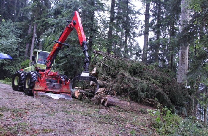 Dikussion in Neuweiler: Neue Halle für Forstbetrieb verzögert sich