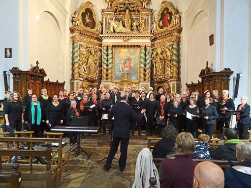 Auch ein Konzert gehörte zum Ausflug des MGV Klosterreichenbach.  Foto: MGV Klosterreichenbach Foto: Schwarzwälder Bote